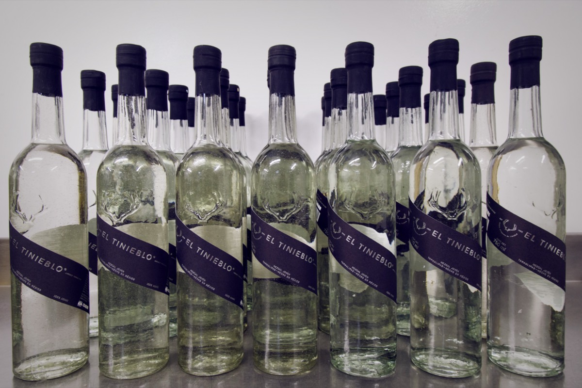 A line of El Tinieblo mezcal bottles